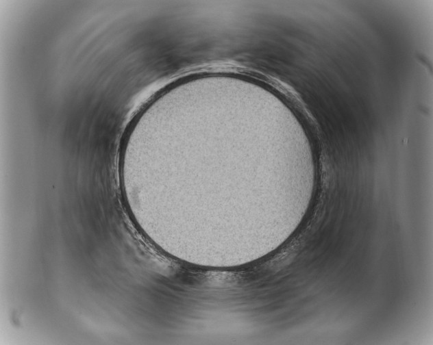 X0000099561176200806131227