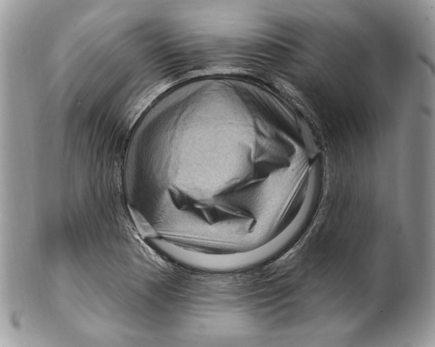 X0000099561177200806131227