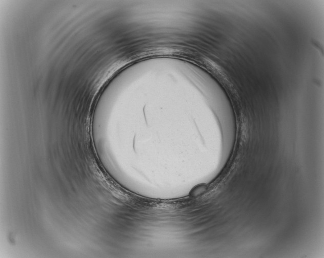 X0000099561178200806131227