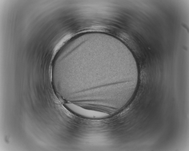 X0000099561180200806131227