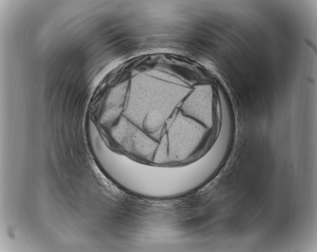 X0000099561181200806131227