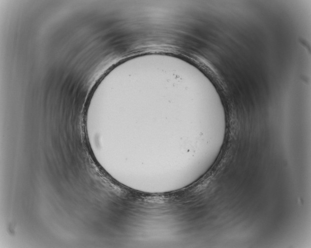 X0000099561182200806131227