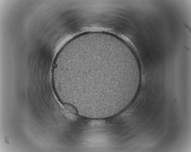 X0000099561183200806131227