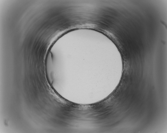 X0000099561184200806131227