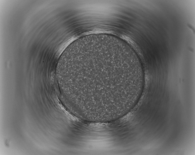 X0000099561185200806131227