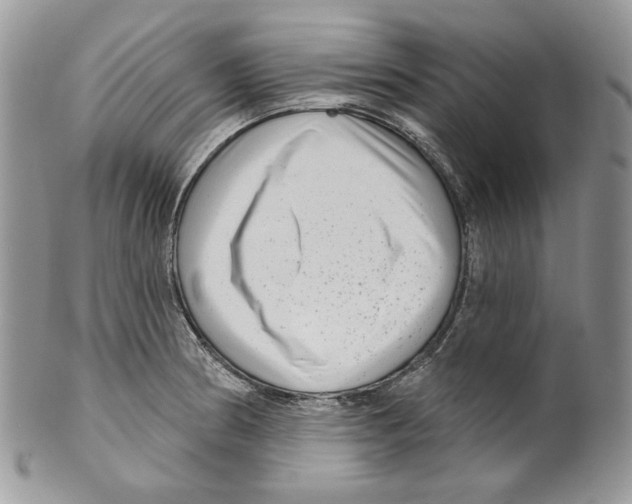 X0000099561186200806131227