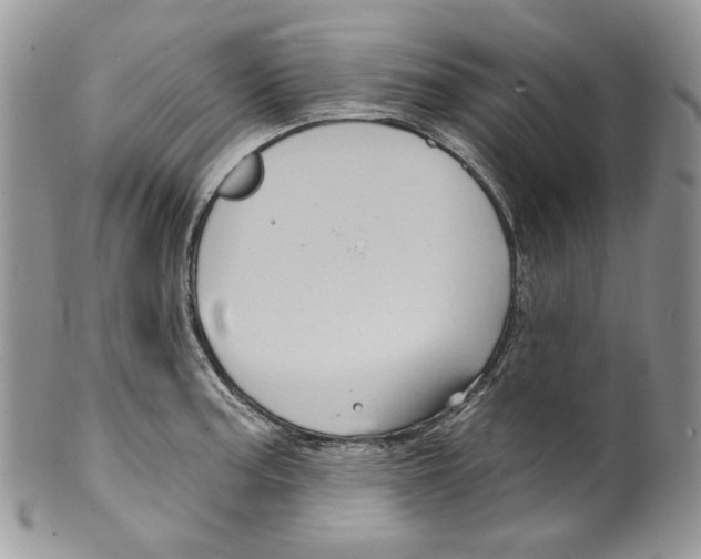 X0000099561187200806131227