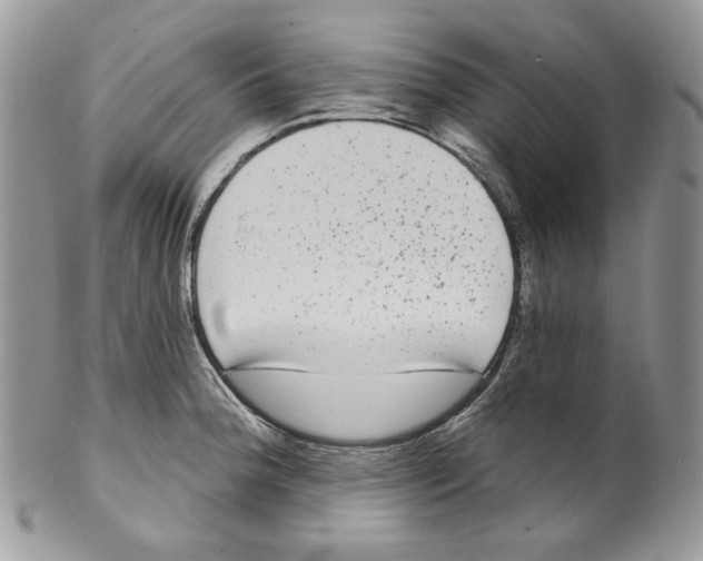 X0000099561188200806131227