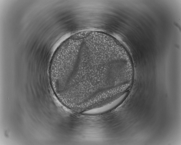 X0000099561189200806131227