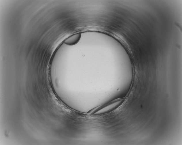 X0000099561190200806131227