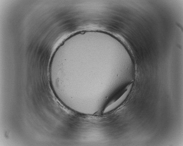 X0000099561191200806131227