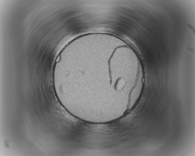 X0000099561192200806131227