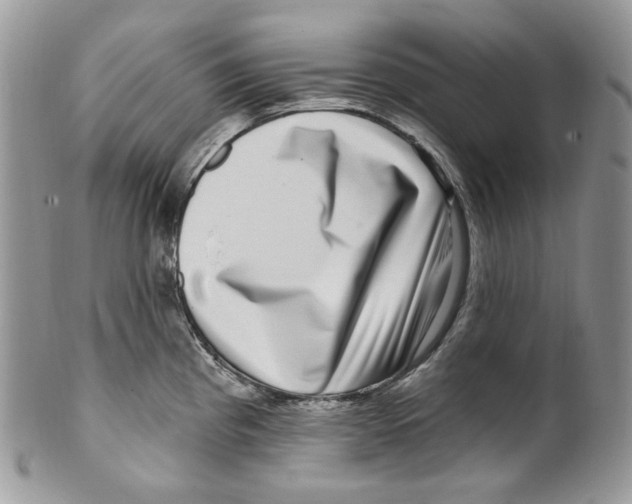 X0000099561193200806131227