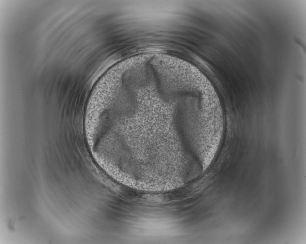 X0000099561194200806131227