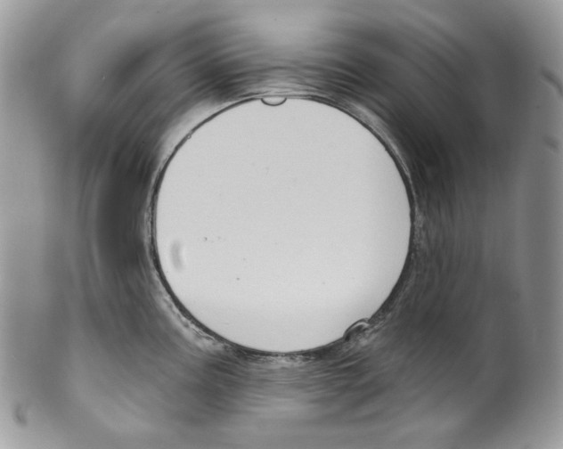 X0000099561195200806131227