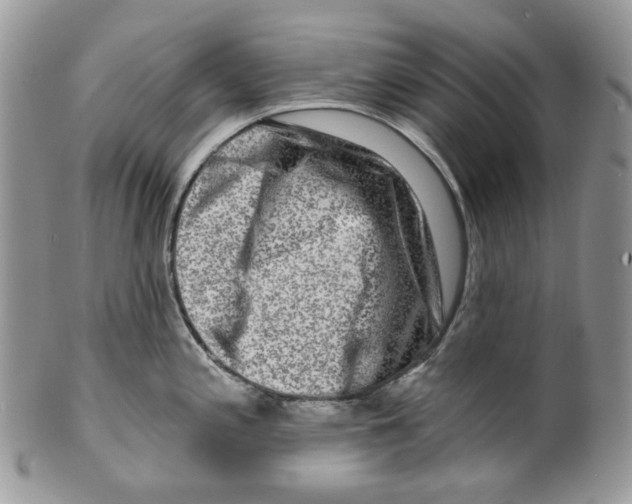 X0000099561197200806131227