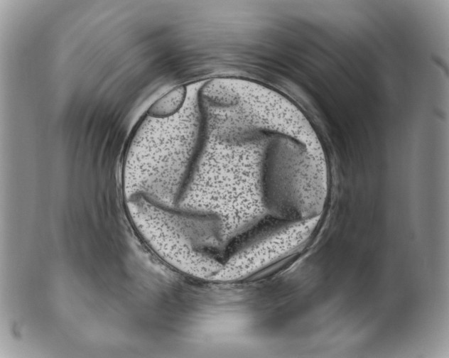 X0000099561198200806131227