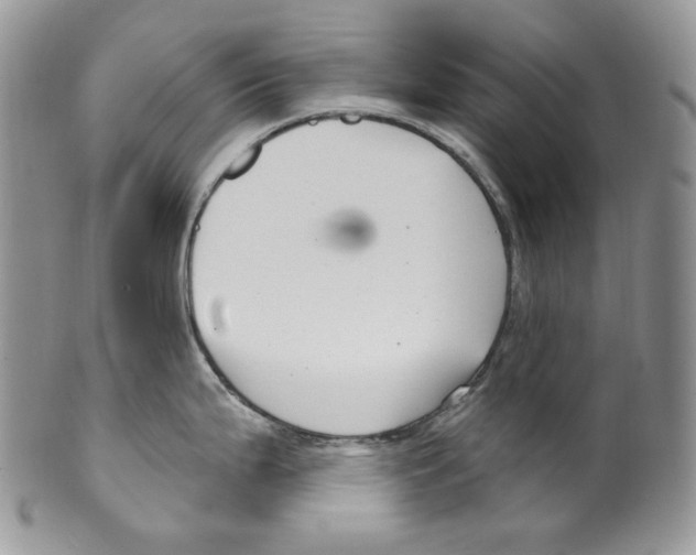 X0000099561199200806131227