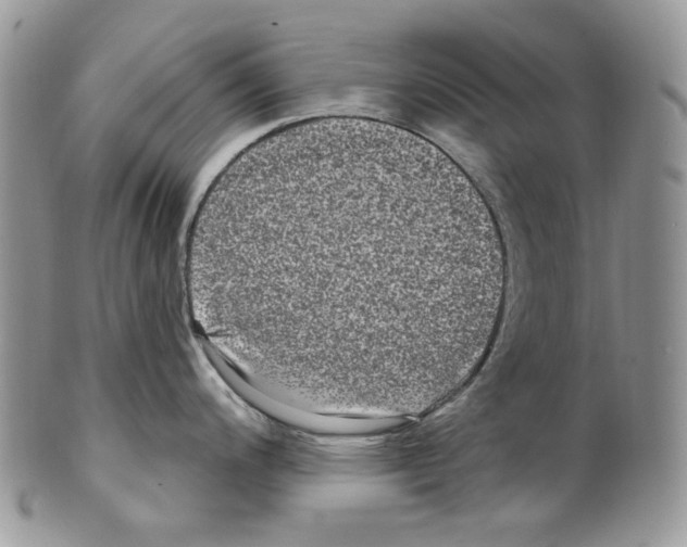 X0000099561200200806131227