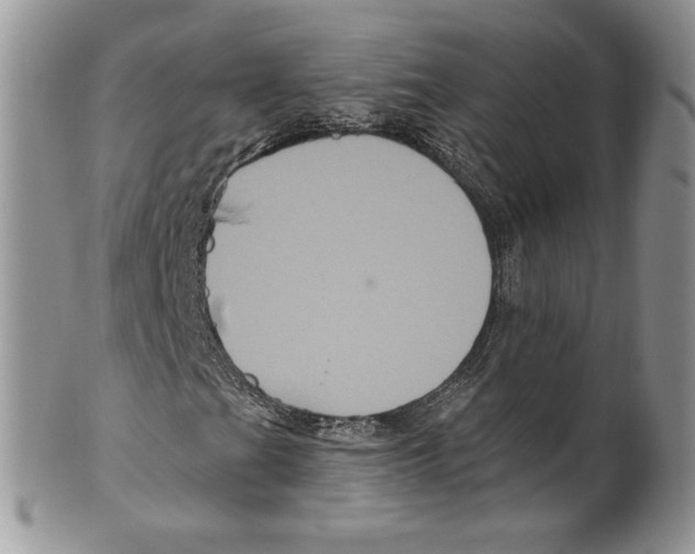 X0000099561201200806131226