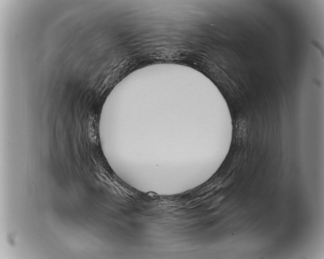 X0000099561202200806131226