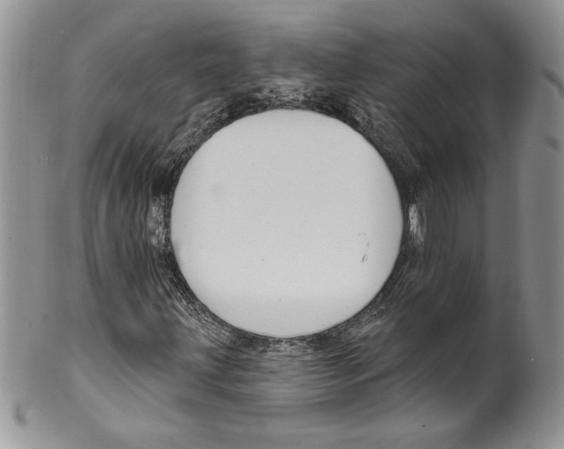 X0000099561203200806131226