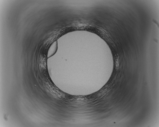 X0000099561204200806131226