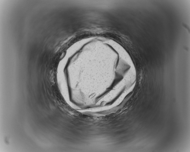 X0000099561205200806131226