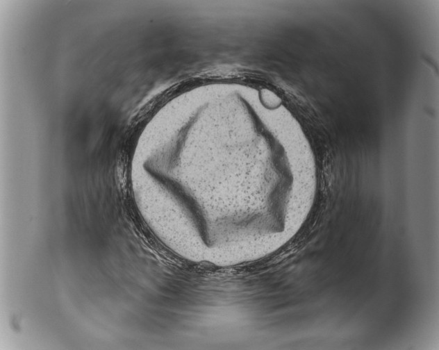 X0000099561206200806131226