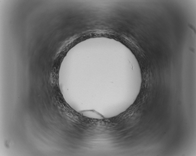 X0000099561207200806131226