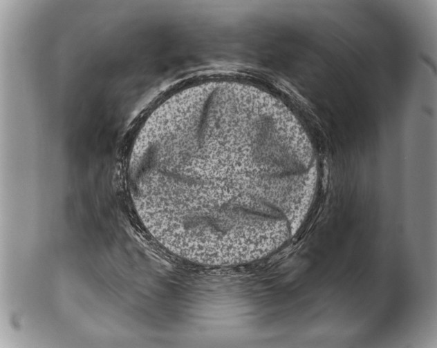 X0000099561208200806131226