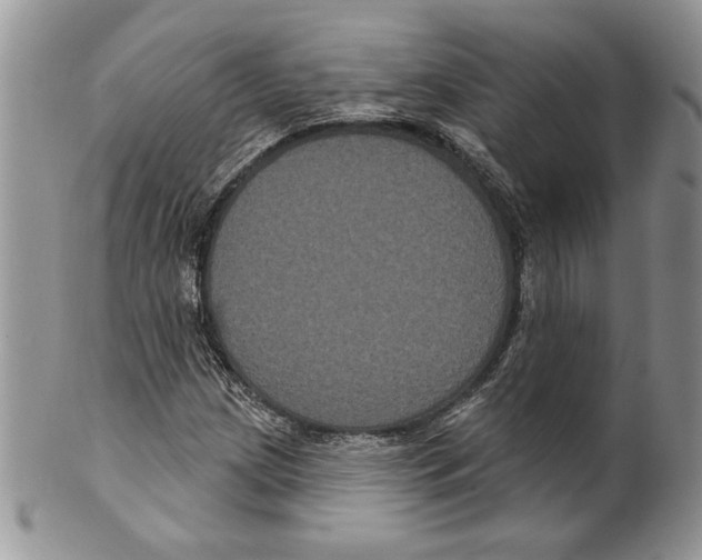 X0000099561209200806131226