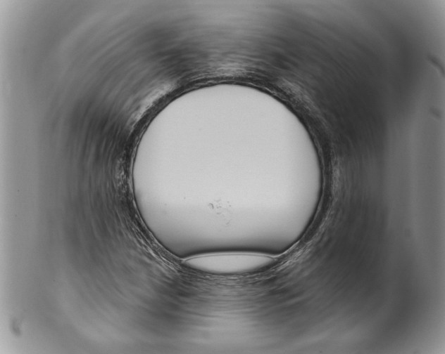 X0000099561210200806131226