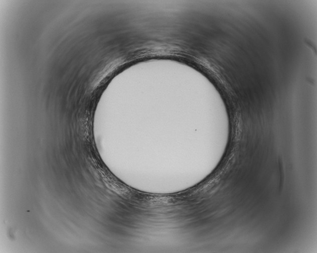 X0000099561211200806131226