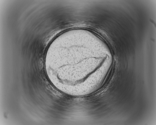 X0000099561212200806131226