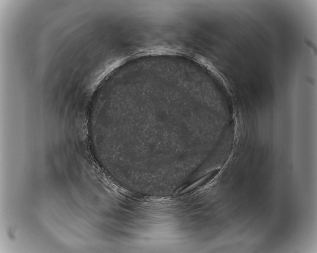 X0000099561213200806131226