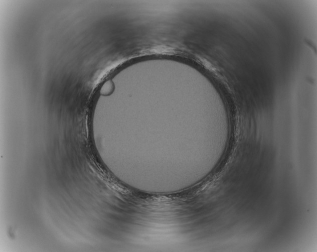 X0000099561214200806131226