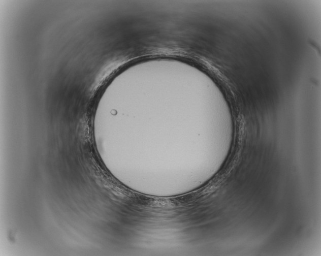 X0000099561215200806131226