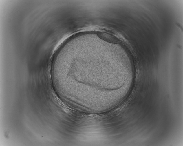 X0000099561216200806131226