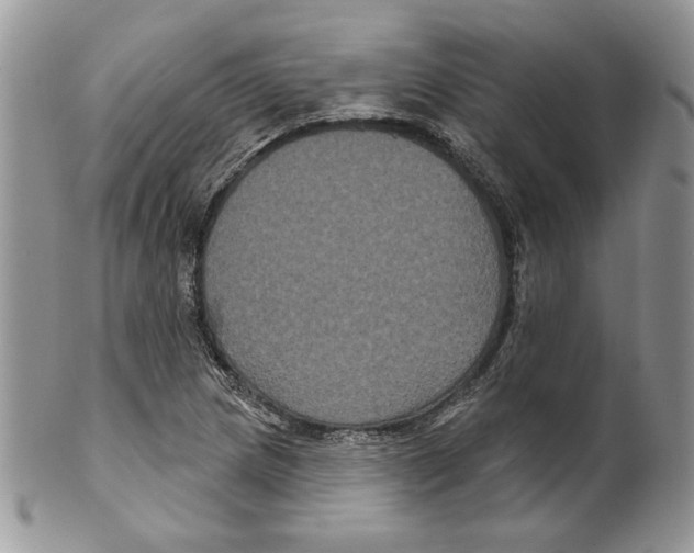 X0000099561217200806131226