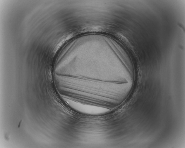 X0000099561218200806131226