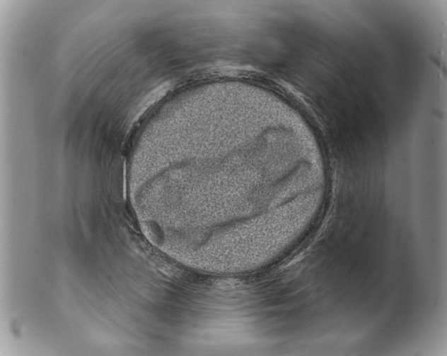 X0000099561219200806131226