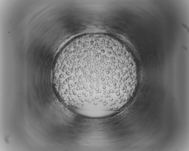 X0000099561220200806131226