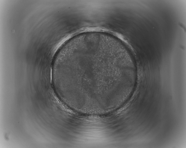 X0000099561221200806131226