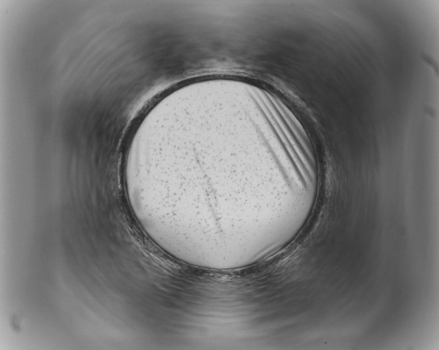 X0000099561222200806131226