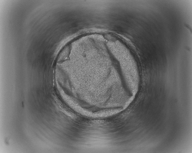 X0000099561223200806131227