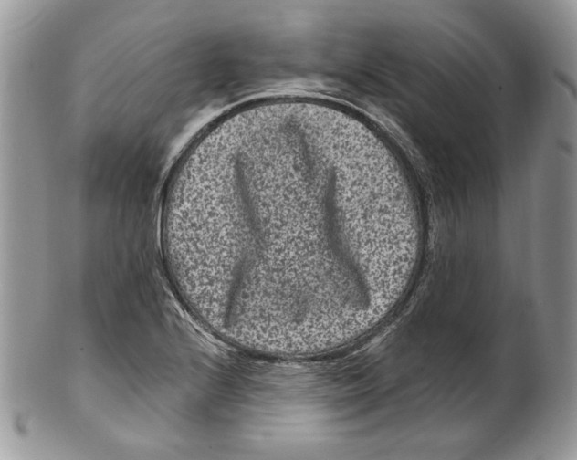 X0000099561224200806131227