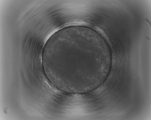 X0000099561226200806131227