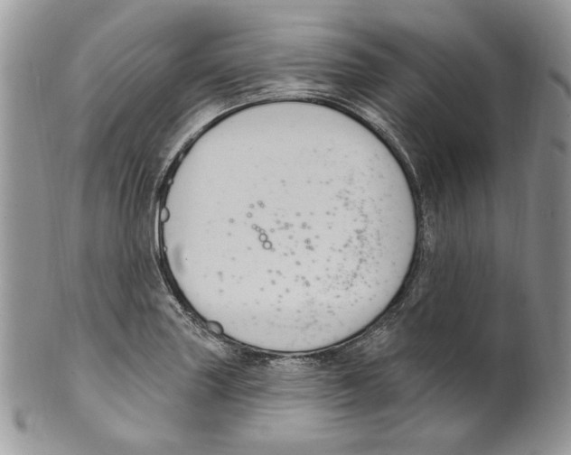 X0000099561227200806131227