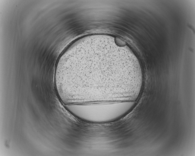 X0000099561228200806131227